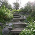 Wooden Steps to Lookout