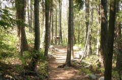 Sunshine Hiking