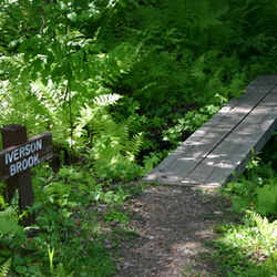 Merry Creek Trails