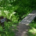 Iverson Brook Foot Bridge
