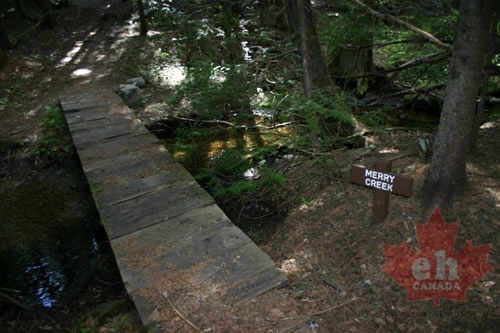Merry Creek Foot Bridge