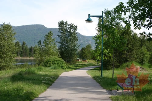 Walkway with Viewing Benches