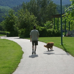 Millennium Walkway