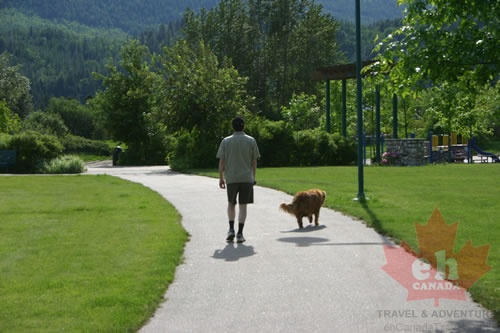 Dog Walking