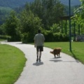 Dog Walking