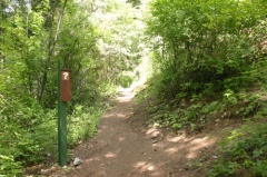 Hiking Trail