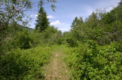Hiking Trail