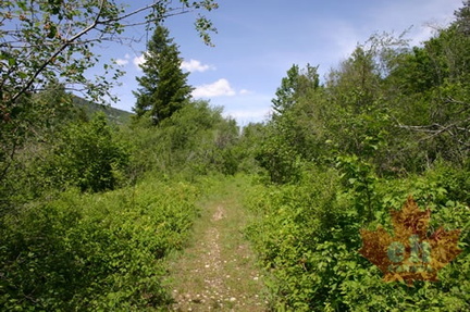 Hiking Trail