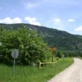 Golf Course Gravel Road