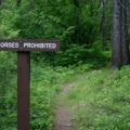 Hiking Trail