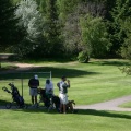 Golfing Castlegar