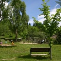 Playground Park