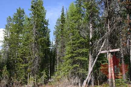 Trailhead