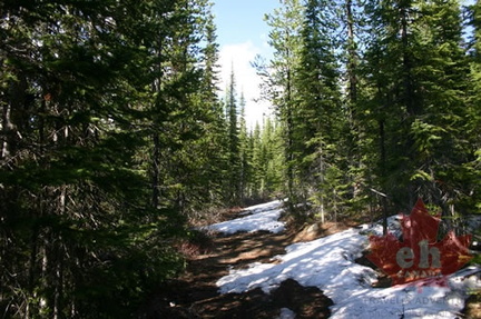 Hiking in the Snow