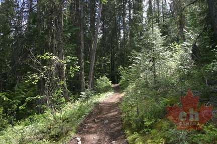 Hiking Trail