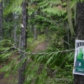 Trail Sign