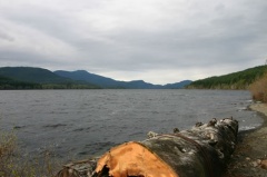Alice Lake