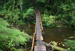 Cape Scott Provincial Park - display this album Cape Scott Provincial Park