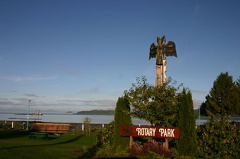 CARROTPARK.jpg