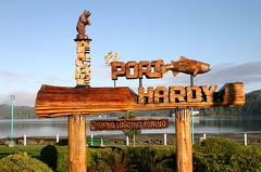 CARROTPARK 005.jpg