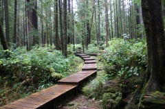 Boardwalk Trail & Stairs