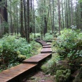 Boardwalk Trail & Stairs