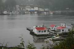 JENSONCOVE 001.jpg