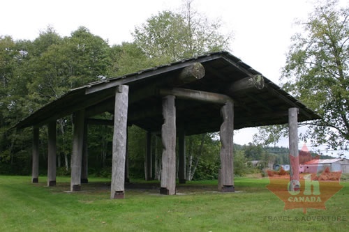 Shelter