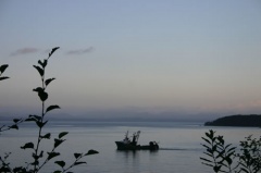 Fishing