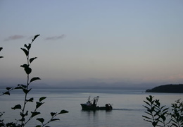 Fishing (454 visits) Coming in from a fishing trip Sunset and returning fisherman Fishing