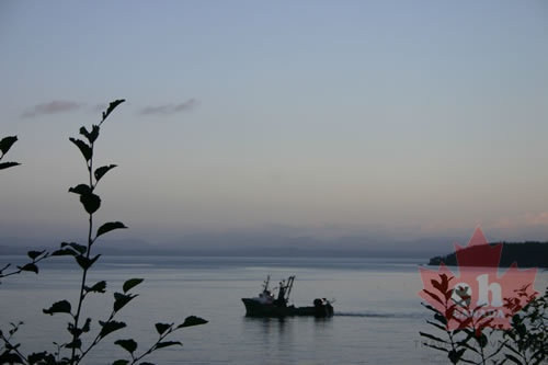 Fishing