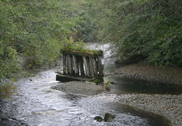 Quatse River (431 visits) History is now nature Views of river and time left behind Quatse River