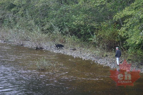 Quatse River
