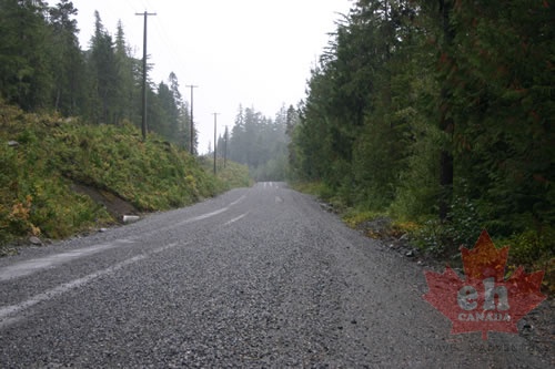 Gravel Road to Holberg
