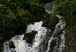 Waterfall (546 visits) Run off creeks on road to Holberg Gravel road run off creeks to Holberg Waterfall