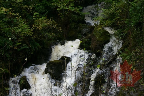 Waterfall