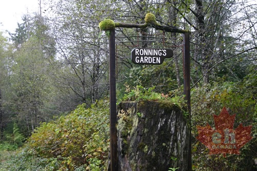 Ronnings Garden