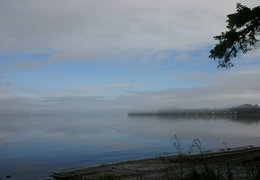 Storey Beach (493 visits) Misty hikes Hiking to Tex Lyon Trail Storey Beach