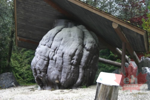 Worlds Largest Burl