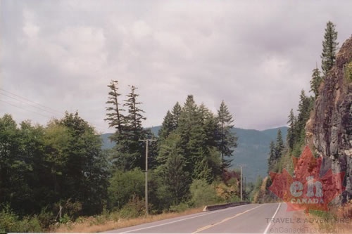 Highway 19