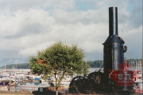 Steam Donkey