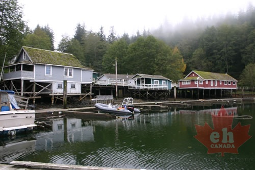 TELEGRAPHCOVE 003.jpg