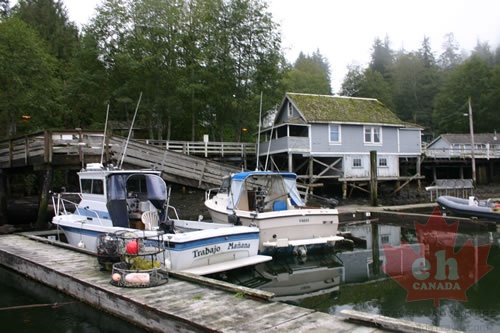 TELEGRAPHCOVE 007.jpg