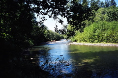 Oyster River