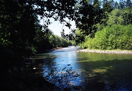 Oyster River (403 visits) River in the region River in region Oyster River