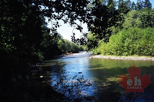 Oyster River