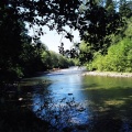 Oyster River
