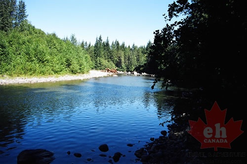 Oyster River