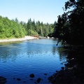Oyster River