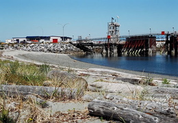 Ferry Terminal (396 visits) Beach walk in community Ferry Terminal